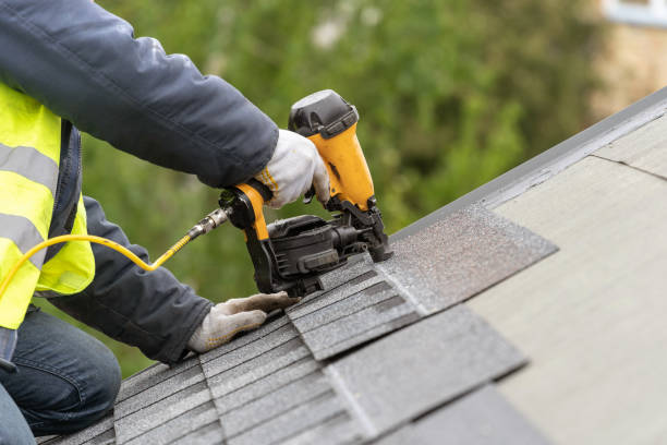 Best Asphalt Shingle Roofing  in Des Plaines, IL
