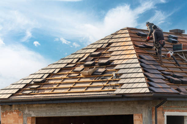Professional Roofing services in Des Plaines, IL